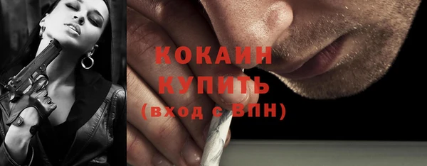 мдпв Осташков