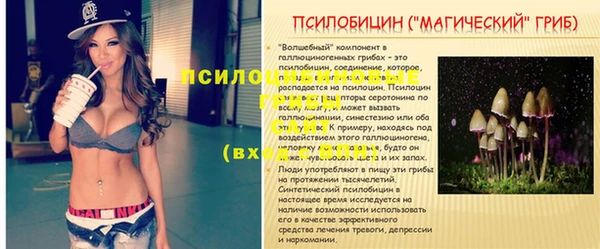 винт Балахна
