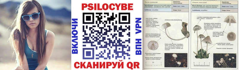 Галлюциногенные грибы Cubensis  Чулым 